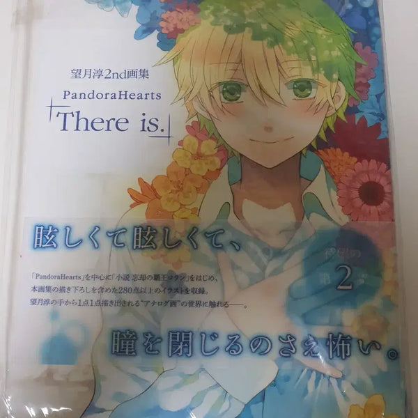 [BUNJANG] Pandora Hearts Artbook 2 "There is." / 판도라하츠 화집 2