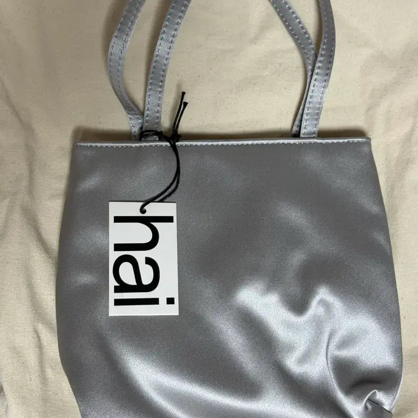[BUNJANG] Hai Little Silk Bag Silver / hai 홈오브하이 리틀 실크 백 실버 Little Silk Bag