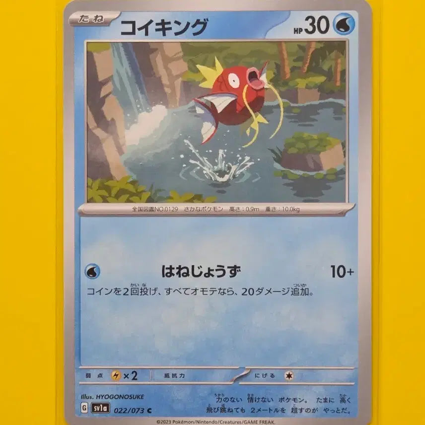 [BUNJANG] Magikarp Japanese Version Trading Card / 포켓몬카드 잉어킹 일판