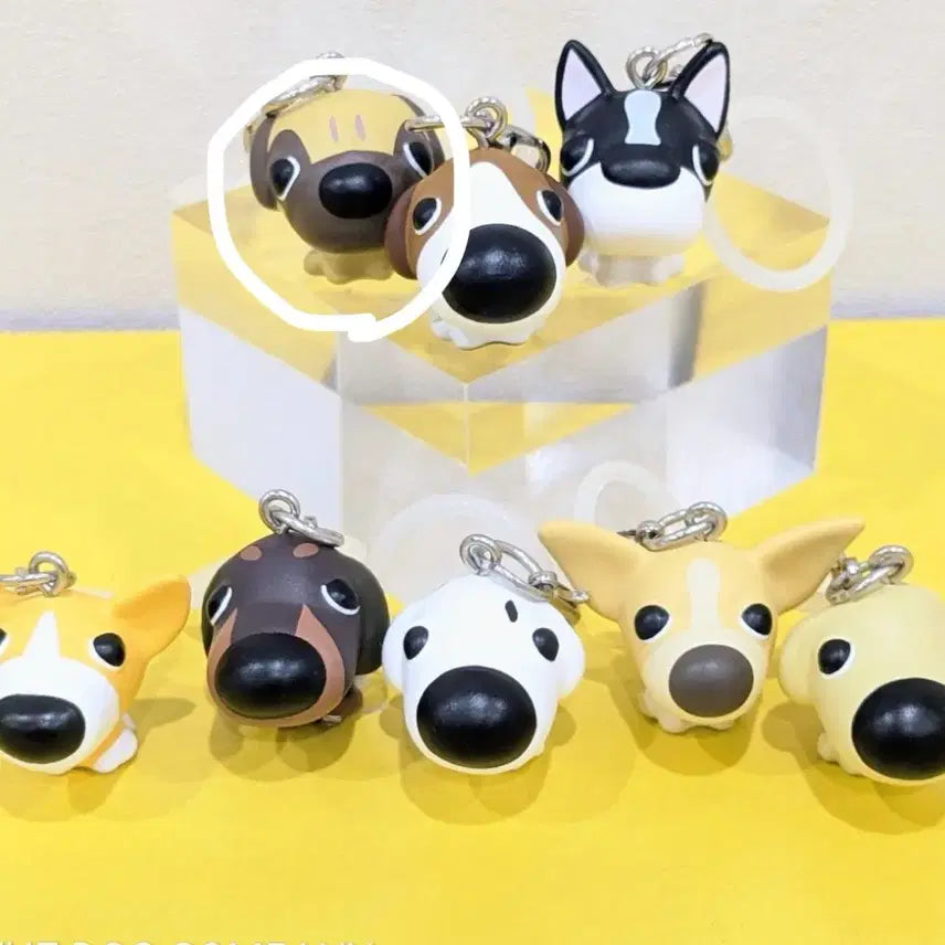 [BUNJANG] The Dog Majilushi Pug (Sealed) / 더 도그 메지루시 퍼그