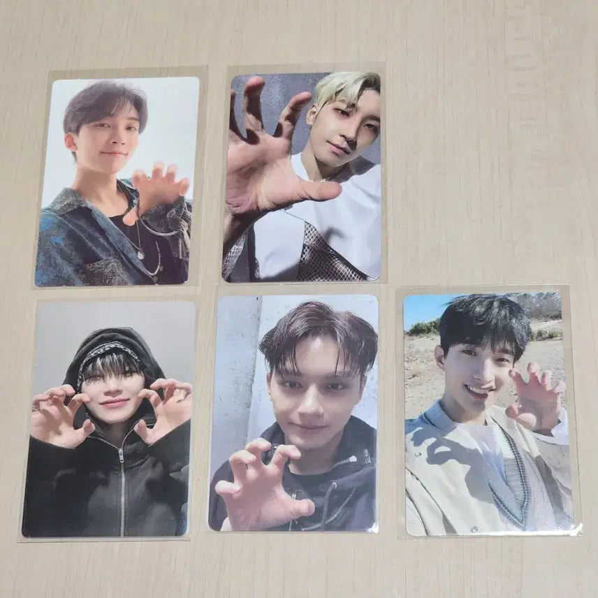 [BUNJANG] SEVENTEEN Hoshi "Horanghae" Photocard Set / 세븐틴 호시 호랑해 포카
