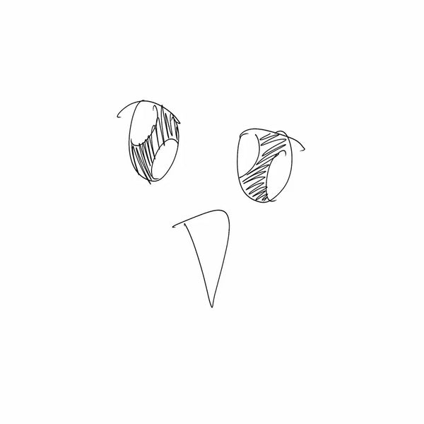 [BUNJANG] Custom Humorous Digital Illustration Service / 당일마감) 사진을 하찮게 만들어드립니다