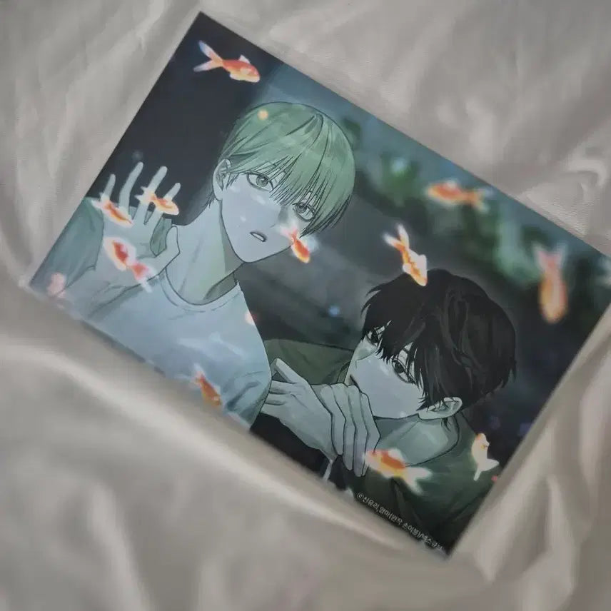 [BUNJANG] Non Zero-Sum Printing Box Photocard / BL) 논 제로섬 프박 프린팅 박스 판매