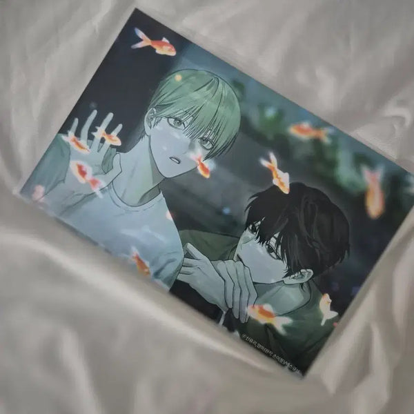 [BUNJANG] Non Zero-Sum Printing Box Photocard / BL) 논 제로섬 프박 프린팅 박스 판매