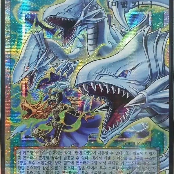 [BUNJANG] Yu-Gi-Oh! Dragonmaid Over Sized Sleeves / 유희왕 드래곤 인도의 호적 오버프싴
