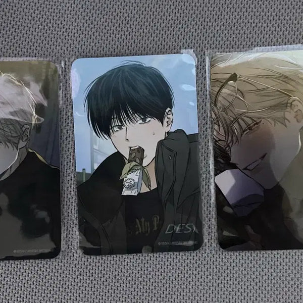[BUNJANG] Mopeon Stage Behind Photocard Bundle Set / 모펀 스테이지 비하인드 스비하 방포 포카 일괄 판매