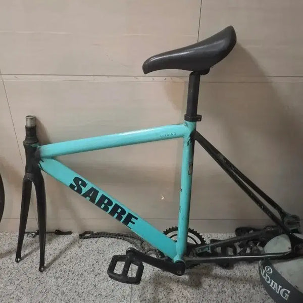 [BUNJANG] Pixie Luigiino Sabres Bicycle - Carbon Fork / 급처 노먹노크 픽시 자전거 루이지노 사브레 반차 (판매만)