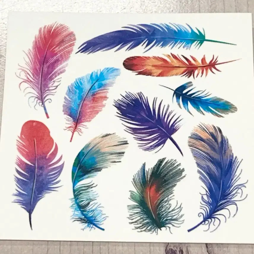 [BUNJANG] Feather Stickers / 깃털 인스