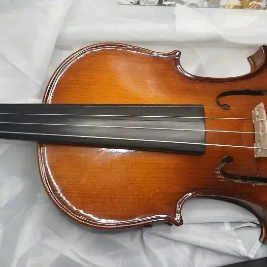 [BUNJANG] 4/4 Full Size Violin Set for Beginners / 입문용 바이올린 4/4 풀세트