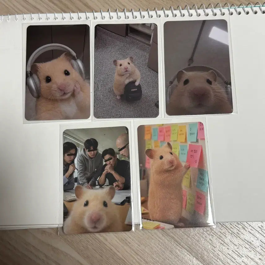 [BUNJANG] Kim Hamzzi 'Anxious Heart' Pop-up POB Photocard Set / 정서불안 김햄찌 팝업 특전 포토카드 5종 풀셋
