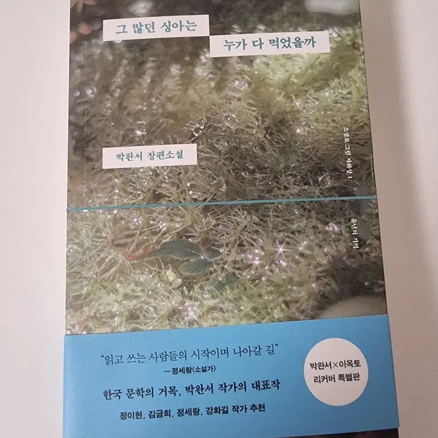 [BUNJANG] Park Wan-suh's "Did the Singa Disappear?" Special Cover Edition / 박완서 그 많던 싱아는 누가 다 먹었을까 리커버 특별판