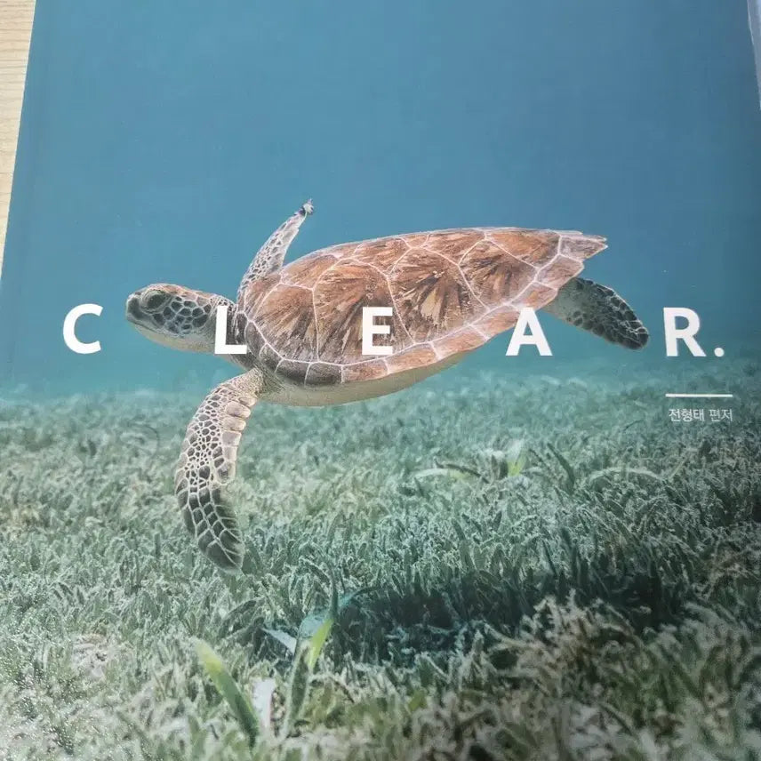 [BUNJANG] 2027 Jeon Hyeong-tae Grammar Clear Textbook / 2027 전형태 문법클리어