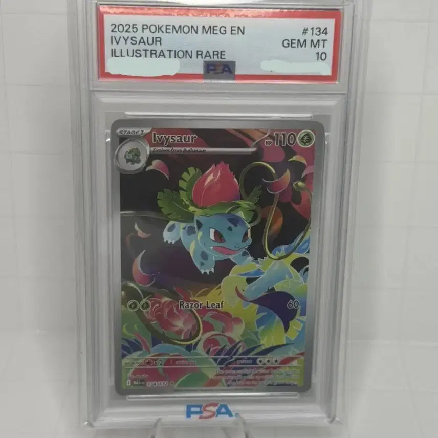 [BUNJANG] Venusaur Illustration Rare Graded Card / PSA10 포켓몬스터 북미판 이상해풀 일러스트레이션 레어