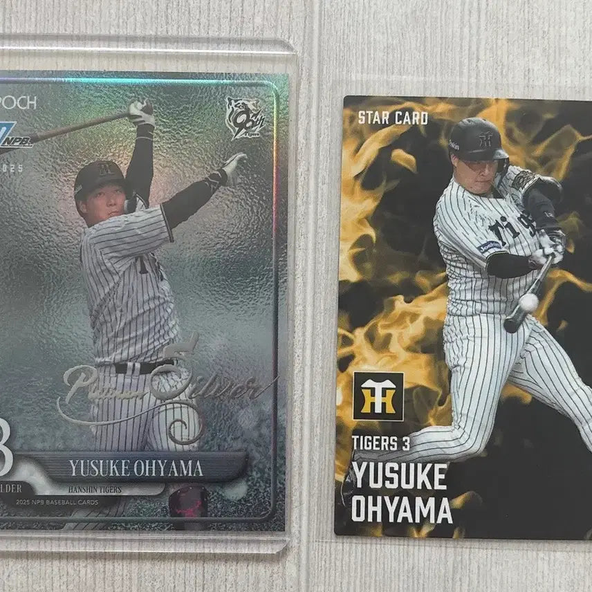 [BUNJANG] NPB Hanshin Tigers Baseball Cards Bundle / NPB 한신 타이거즈 야구카드