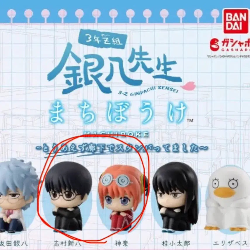 [BUNJANG] Gintama 3Z Machiboke Vol. 1 Shinpachi & Kagura Bundle Set / 은혼 삼젯 마치보케 1탄 신파치, 카구라 일괄