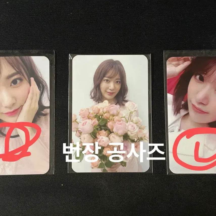 [BUNJANG] IZ*ONE Sakura La Vie en Rose Official Fan Meeting Photocard / 아이즈원 사쿠라 라비앙로즈 공방 팬싸 포카
