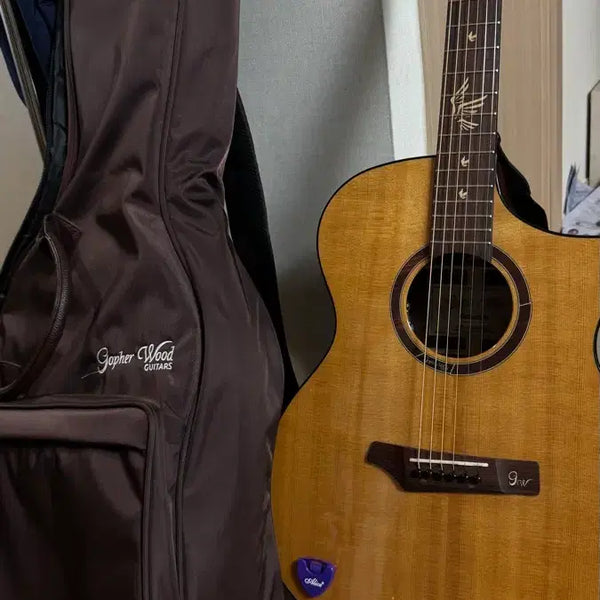 [BUNJANG] Gopherwood i320rce Acoustic Guitar / 고퍼우드 i320rce
