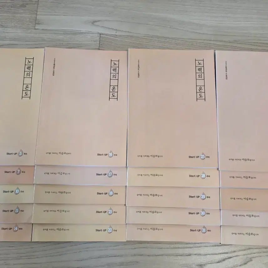 [BUNJANG] Gangnam Daesung Lee Seungmo T Korean Language Weekly "Noryeokui Ondo" Textbook / [강남대성/강대 국어 이승모T 주간지 노력의온도]