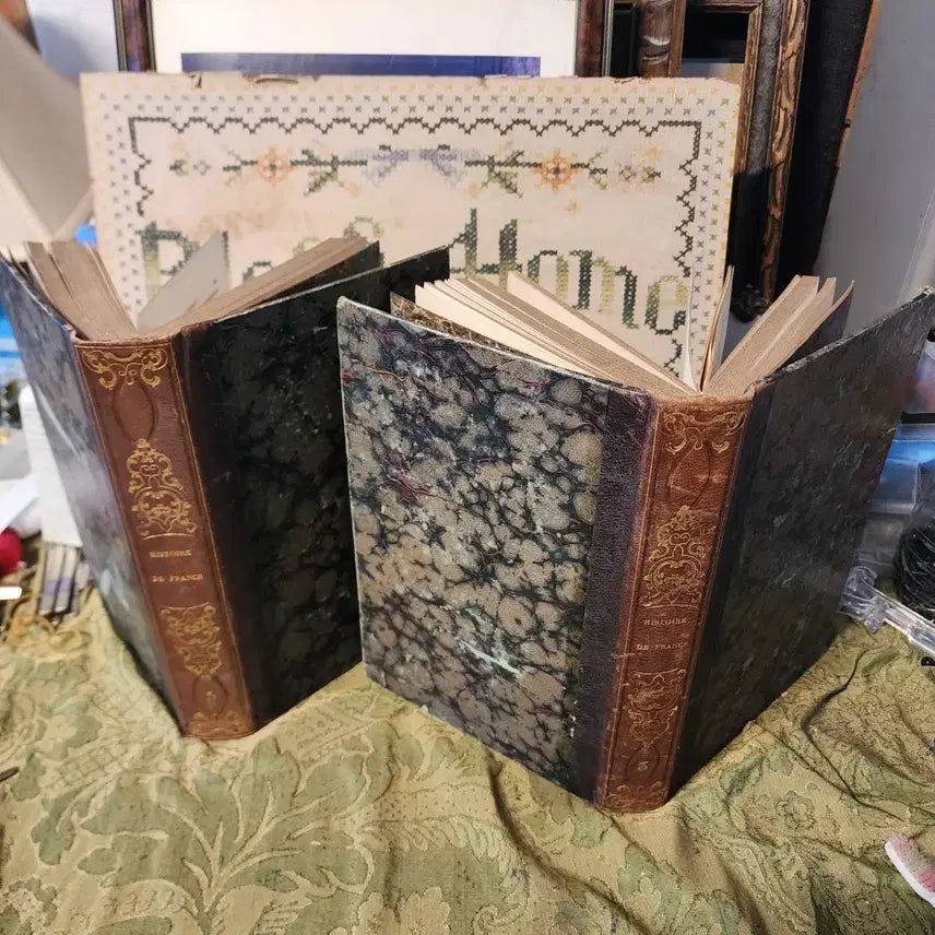 [BUNJANG] Antique French Book: HISTOIRE Volume 1 & 2 / 고서 프랑스 HISTOIRE 2권 두께4.2cm 크기25.5mX16.7