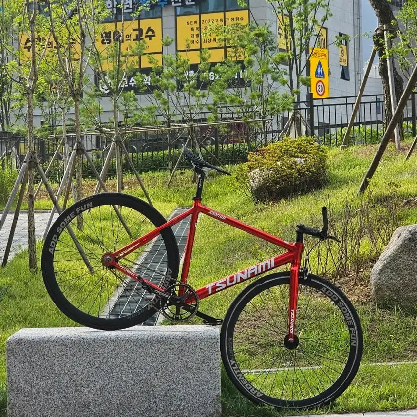 [BUNJANG] Tsunami SNM100 Red Wine Bicycle (M Size) / 쓰나미snm100