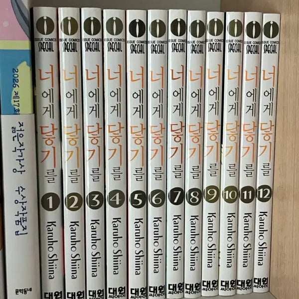 [BUNJANG] Kimi ni Todoke Manga Complete Set Volumes 1-12 / 너에게 닿기를 만화책 1-12권 일괄 판매