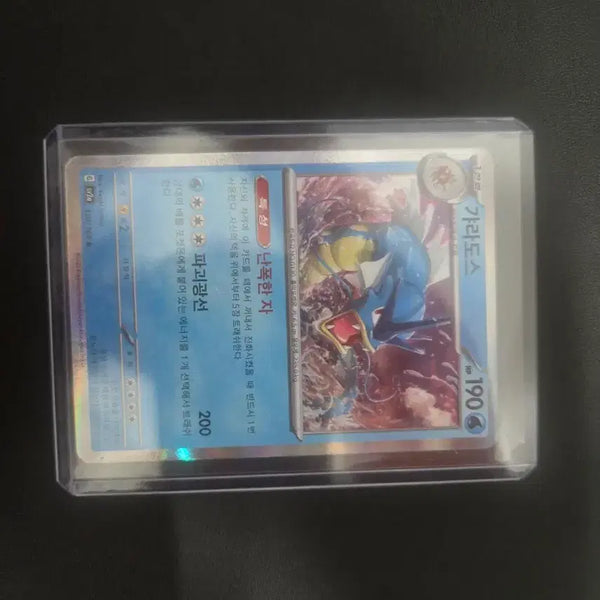 [BUNJANG] Pokemon Card Gyarados "Rampage" "Destruction Beam" / 포켓몬 카드 갸라도스 난폭한 자 파괴광선