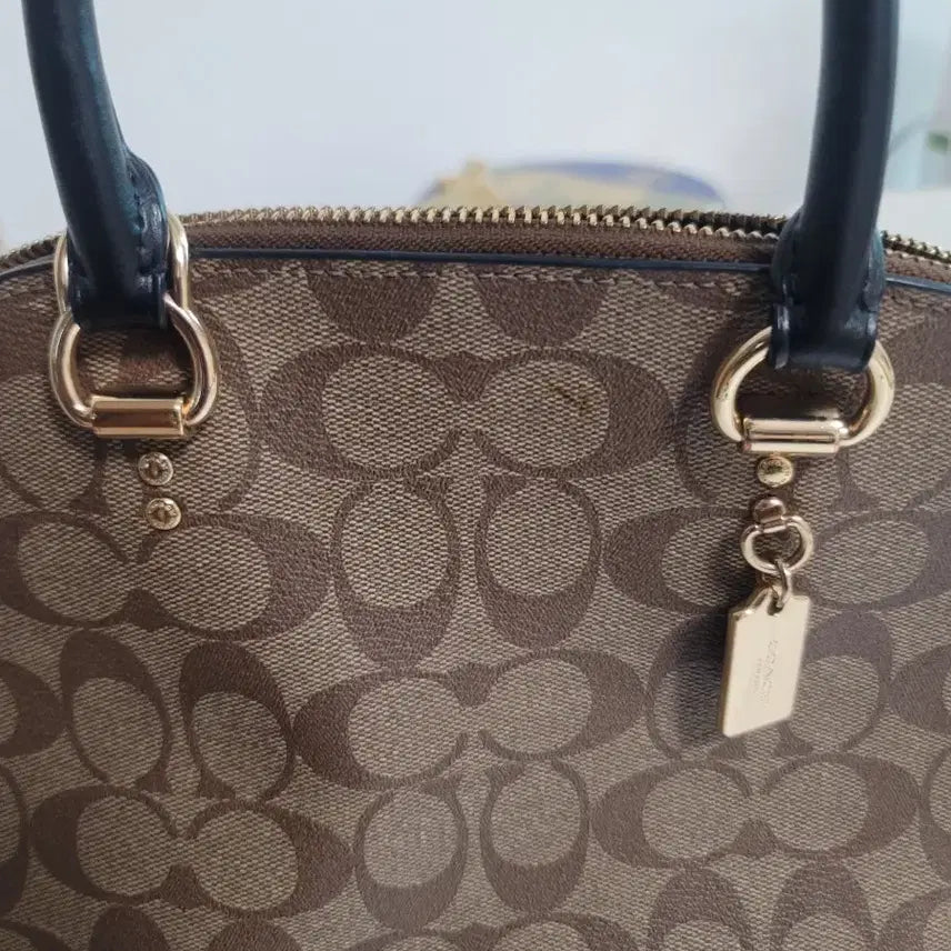 [BUNJANG] Coach Signature Canvas Tote Bag Brown / 코치 시그니처 캔버스 토트백 브라운