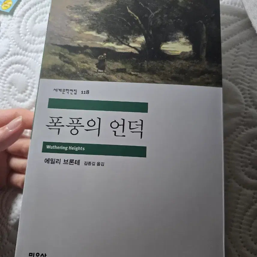 [BUNJANG] Minumsa World Literature Complete 118: Wuthering Heights / 민음사 세계문학전집 118 폭풍의 언덕 팝니다.