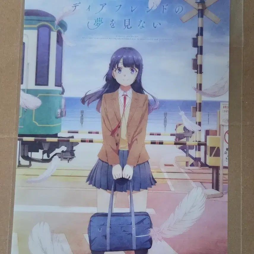 [BUNJANG] Seishun Buta Yarou Shouko Makinohara A5 Clear Card / 청춘돼지 마키노하라 쇼코 클리어카드 청춘 돼지
