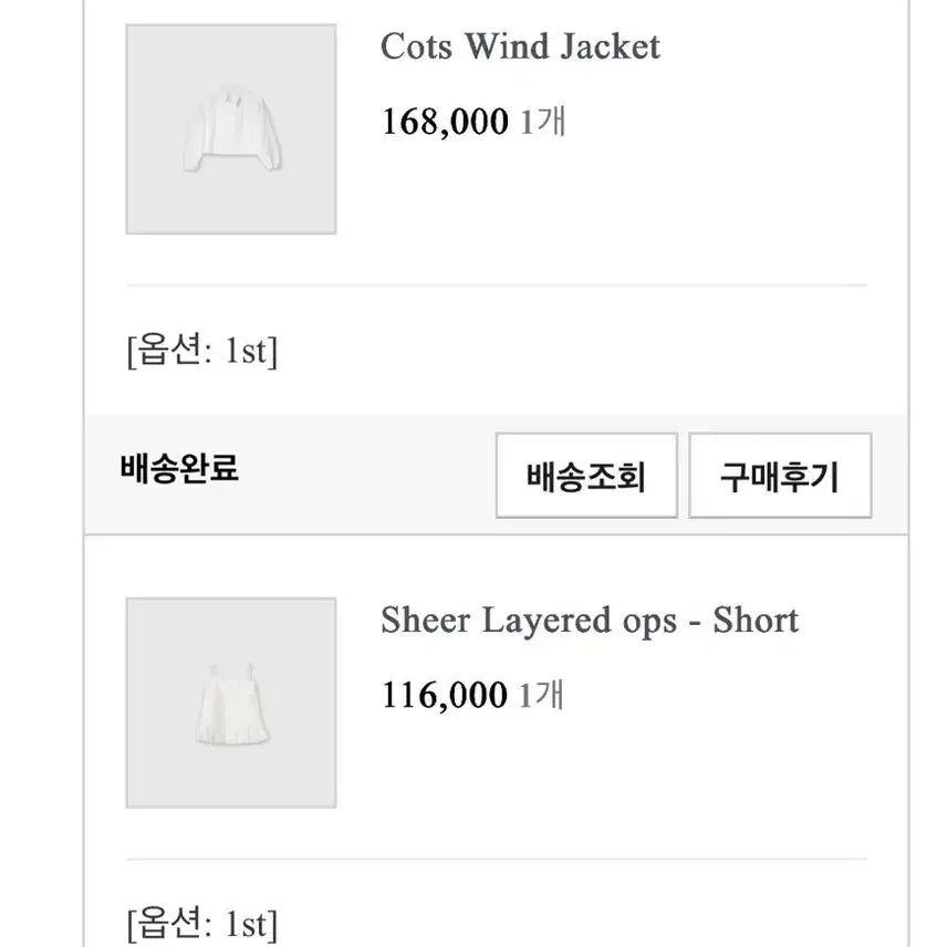 [BUNJANG] Ondt Windbreaker + Sheer Layered Dress Set / 택포 온트 바람막이+쉬어레이어드ops