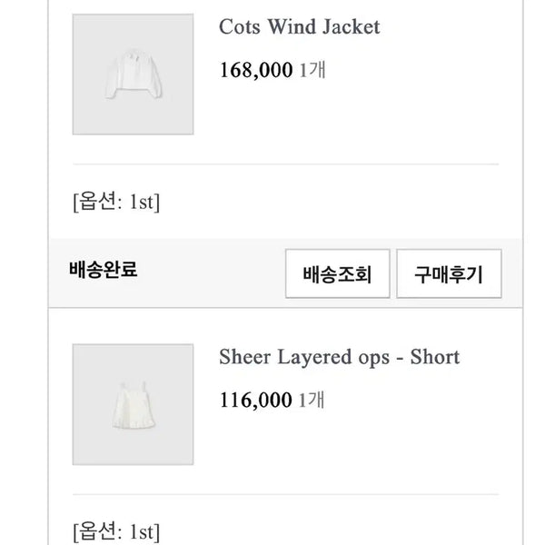 [BUNJANG] Ondt Windbreaker + Sheer Layered Dress Set / 택포 온트 바람막이+쉬어레이어드ops