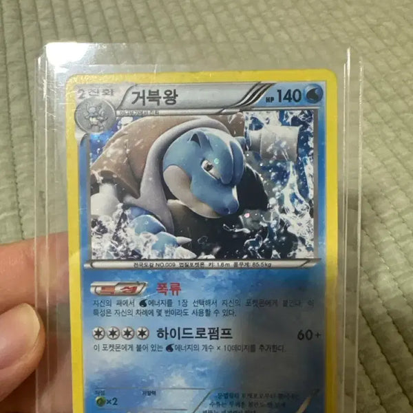 [BUNJANG] Assorted Pokémon Cards (Japanese Edition Included) / 포켓몬카드