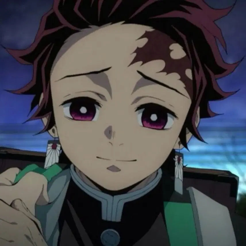 [BUNJANG] Tanjiro Kamado Kimetsu no Yaiba Cosplay Set / 카마도 탄지로 코스프레