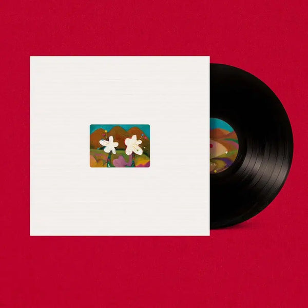 [BUNJANG] AKMU 'Landing' LP (2017) / 악뮤 4집 개화 LP -> 한로로 이상비행 LP 교환