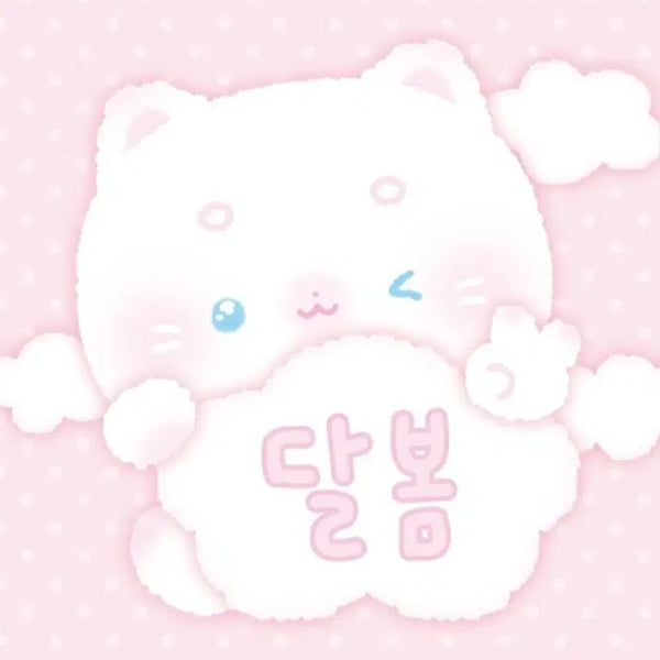 [BUNJANG] Wrapping Paper Special Set / 랩핑지 특판 10셋+랩핑지 믹스 1셋