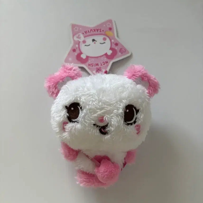 [BUNJANG] Pangyi Wish Doll Sakuya First Edition / 팡이 초판 위시돌 사쿠야