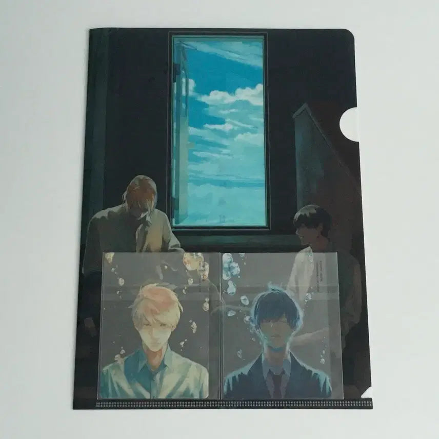 [BUNJANG] Depth of Field A4 File & Clear Card Set / 일본 비엘 bl 피사계심도 A4파일, 클리어 카드 세트