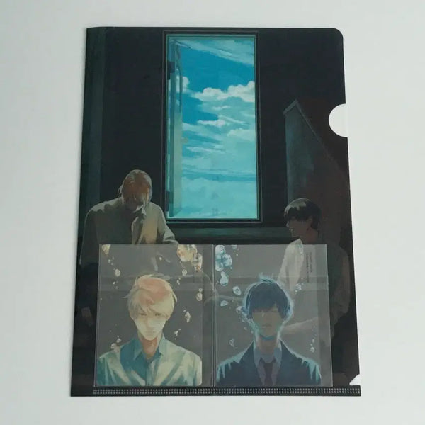 [BUNJANG] Depth of Field A4 File & Clear Card Set / 일본 비엘 bl 피사계심도 A4파일, 클리어 카드 세트