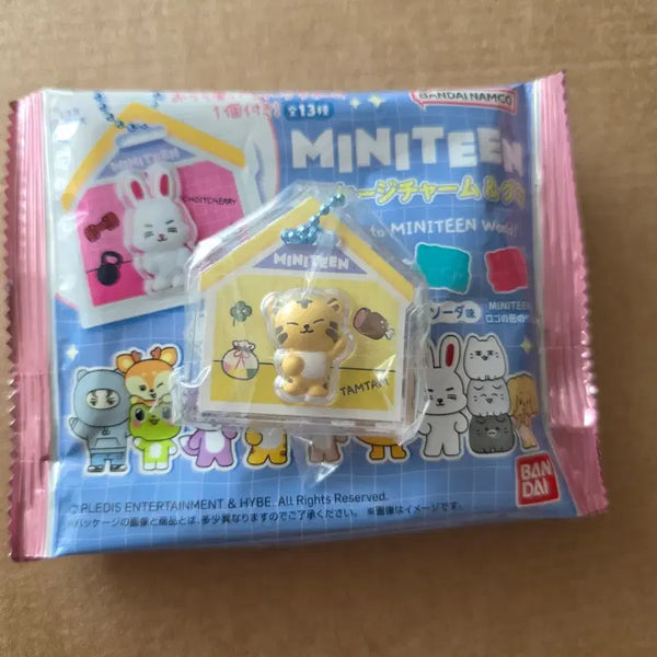 [BUNJANG] SEVENTEEN Miniteen Jelly Package Keyring Tamtam Hoshi / 세븐틴 miniteen 미니틴 젤리 패키지 키링 탐탐이 호시