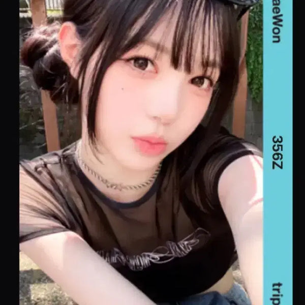 [BUNJANG] Kim Chaewon Hachi Object Photocard / 트리플에스 김채원 하찌 오브젝트 양도