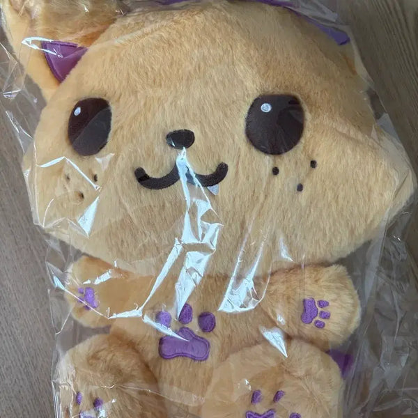 [BUNJANG] NCT WISH 30cm WISH Doll Bundle Set / 엔시티 위시 30cm 위시돌 (일괄판매)