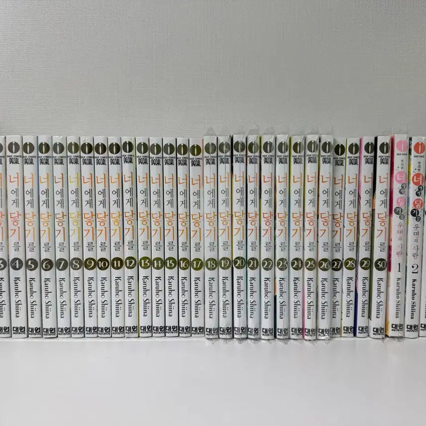 [BUNJANG] Kimi ni Todoke Complete Series + Spin-offs + Fanbook / 너에게 닿기를 전권+외전1,2,3+팬북