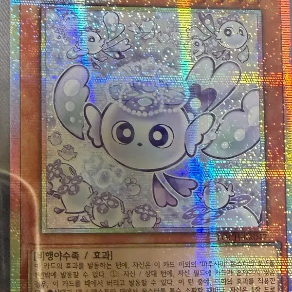 [BUNJANG] Maruchami Fuwarosu Card / 마루챠미 후와로스 프싴