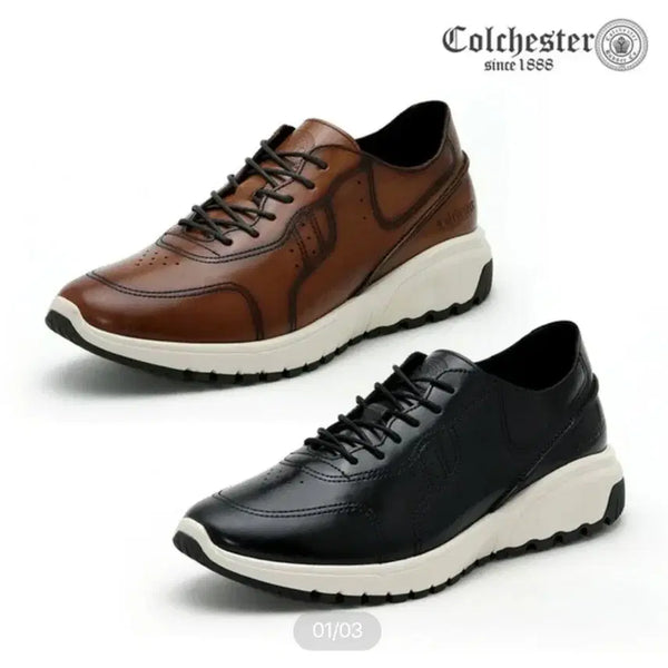 [BUNJANG] Colchester Leather Sneakers (265) / 새상품 콜체스터 스니커즈  265