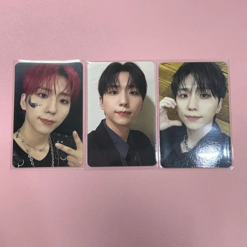 [BUNJANG] Xdinary Heroes XH Lip & Poll Concert Entrance Photocard Bundle Set (All 3 Days) / 엑스디너리히어로즈 엑디즈 립앤폴 콘서트 입장포카 첫중막 3장 일괄 건일