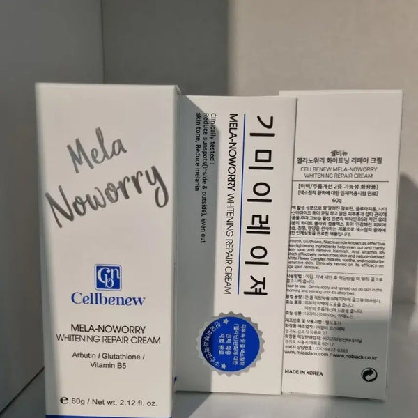 [BUNJANG] Selvigne MELA-NOWORRY Whitening Repair Cream 60g / 기미이레이져 크림