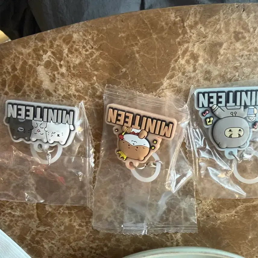 [BUNJANG] MINI TINN Mezirushi Keyring / 미니틴 메지루시 키링
