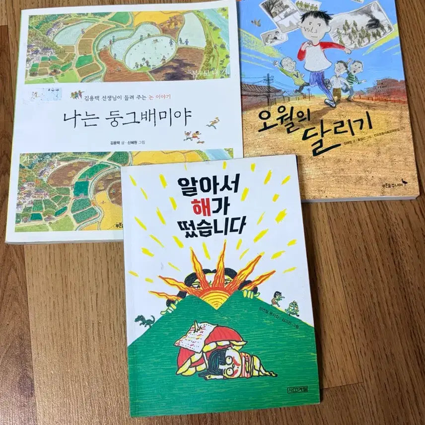 [BUNJANG] Kim Yong-taek Illustrated Book Set: I Am a Round Bellied Boy, May's Run, The Sun Rose by Itself / [초등 권장도서] 나는 둥그배미야, 오월의 달리기, 알아서 해가 떴습니다