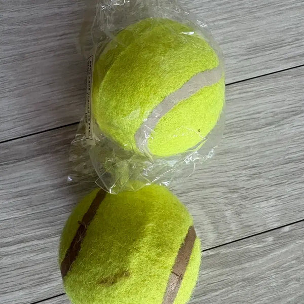 [BUNJANG] Tennis Balls (2-Pack) / 테니스 공 2개