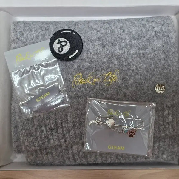 [BUNJANG] &team Back To The Future Show Photocard / 앤팀 &team 백투라 한국 쇼케 역조공 backtolife 포카